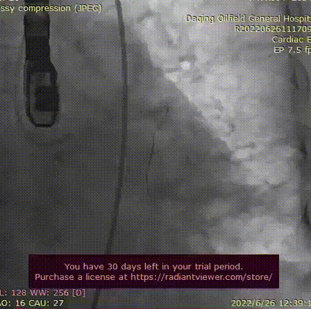 １.gif